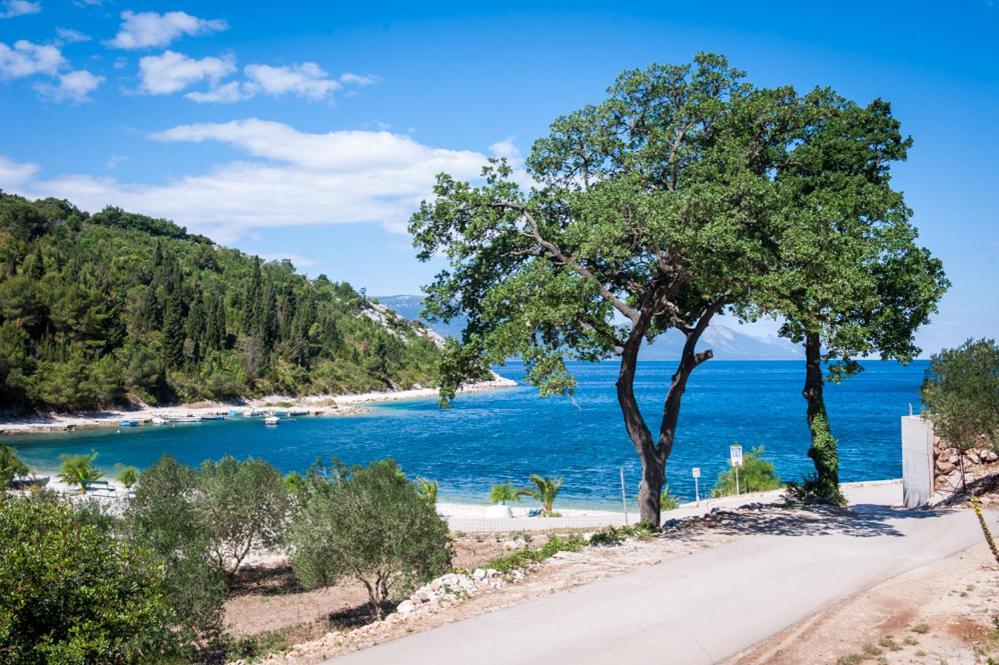 Danguba Daire Kremena Dış mekan fotoğraf